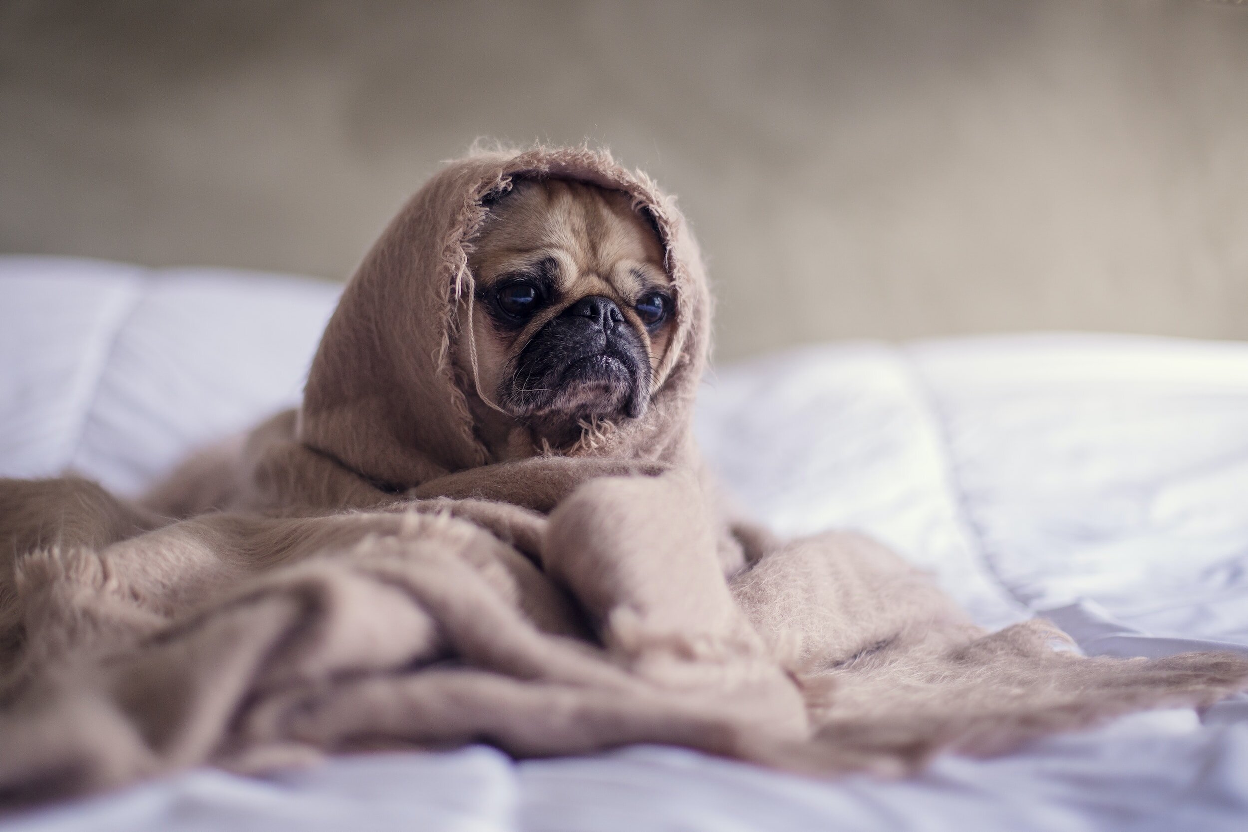 How much and how well have you slept before making an important decision?