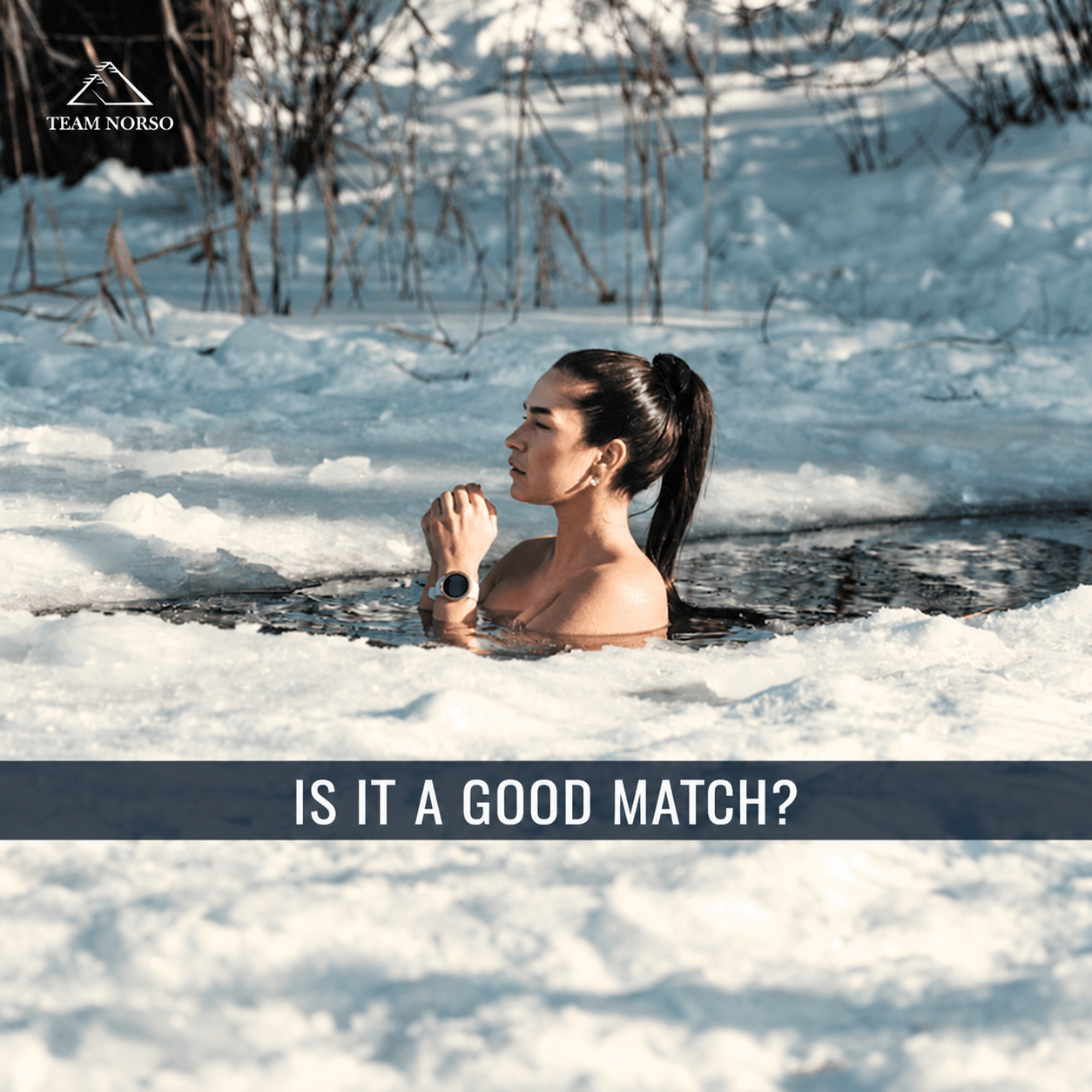 Is it a good match? — original article illustration